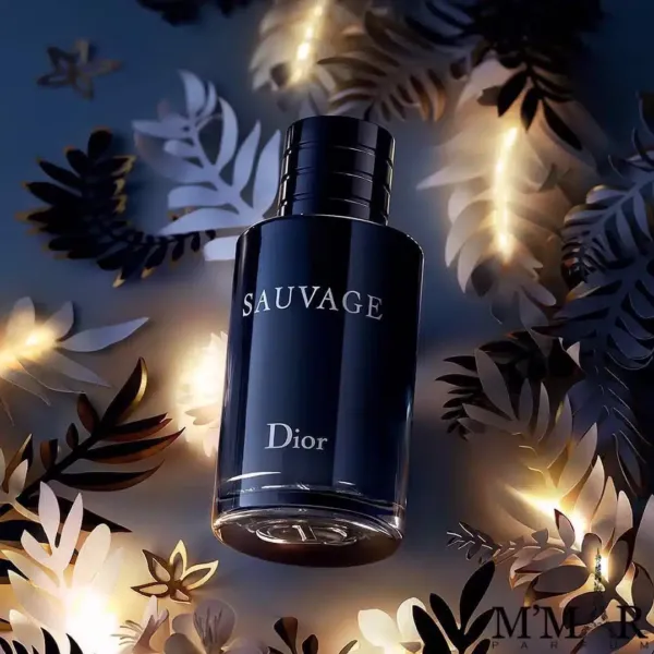 Nước Hoa Nam Christian Dior Sauvage EDT