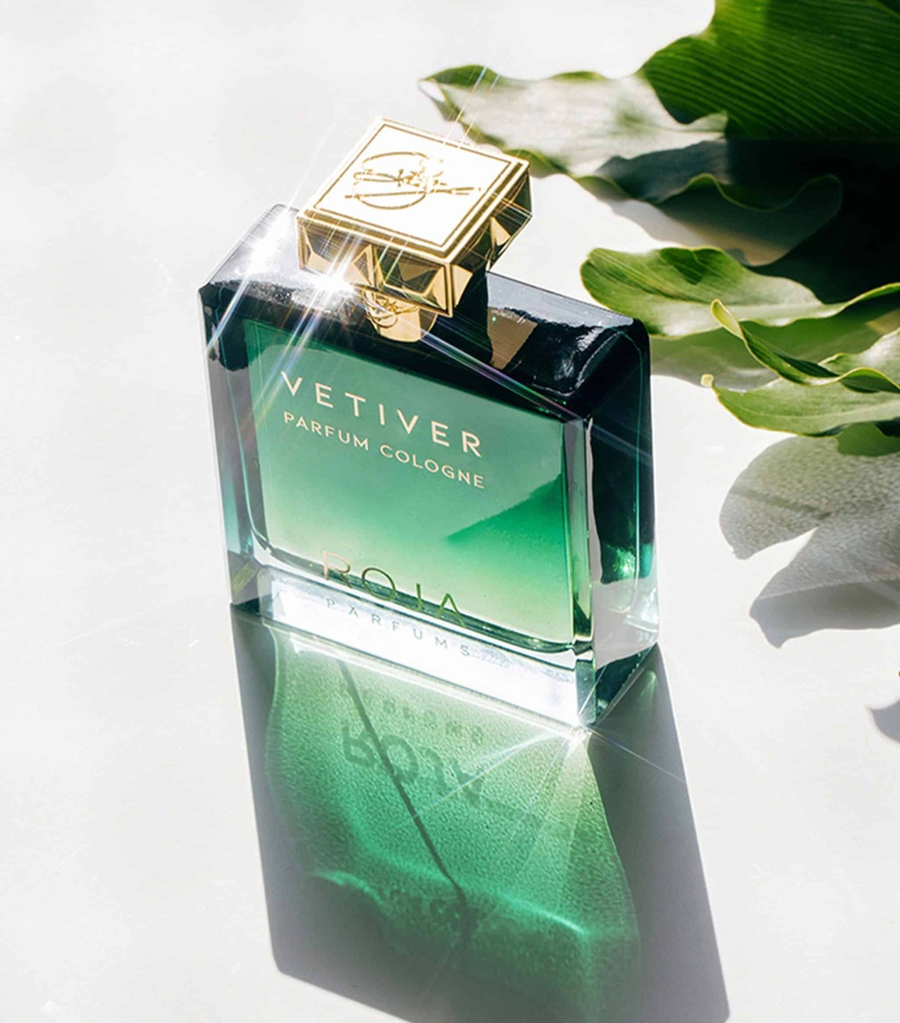 Nước Hoa Nam Roja Vetiver Parfum Cologne