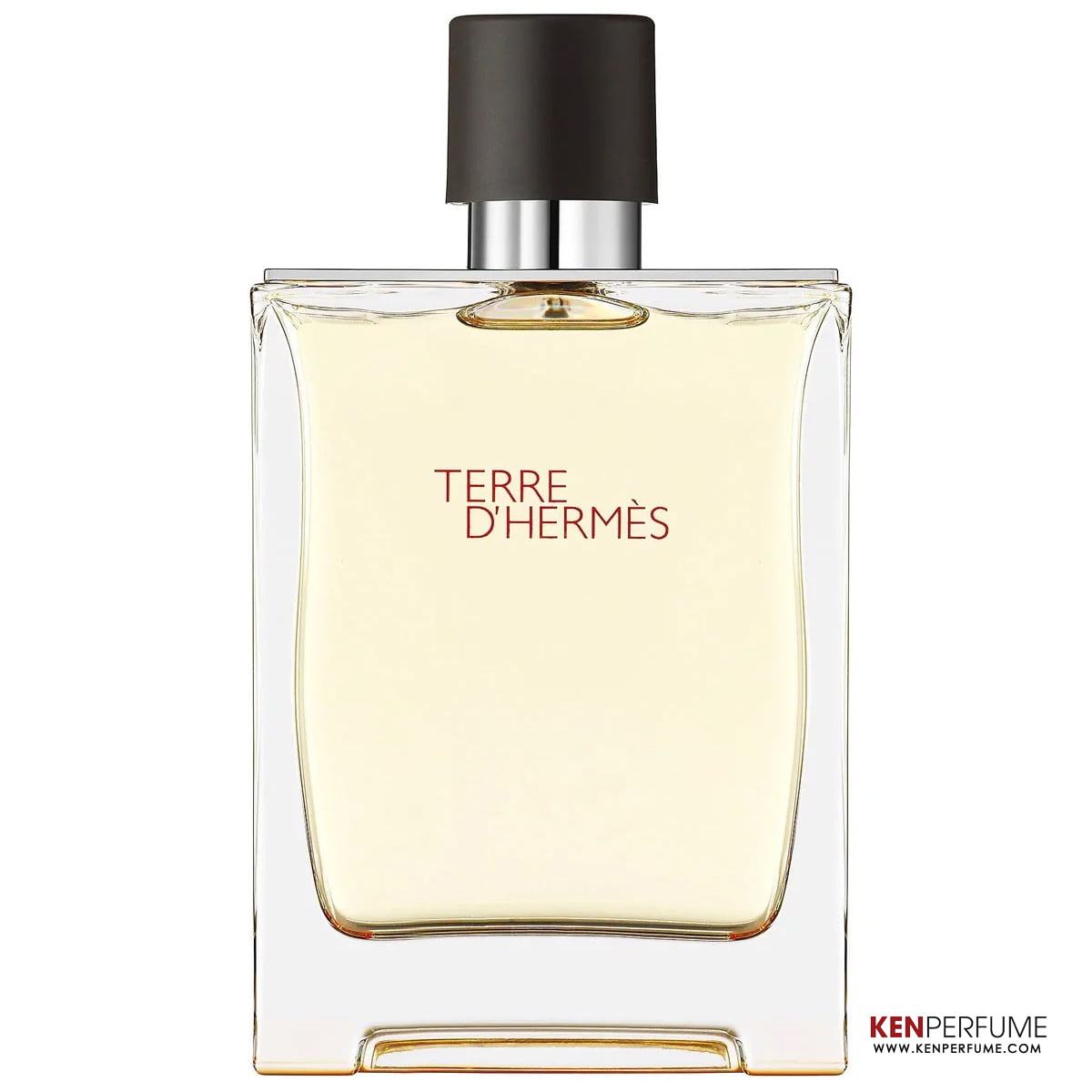 Nước Hoa Nam Hermes Terre d'Hermes EDT