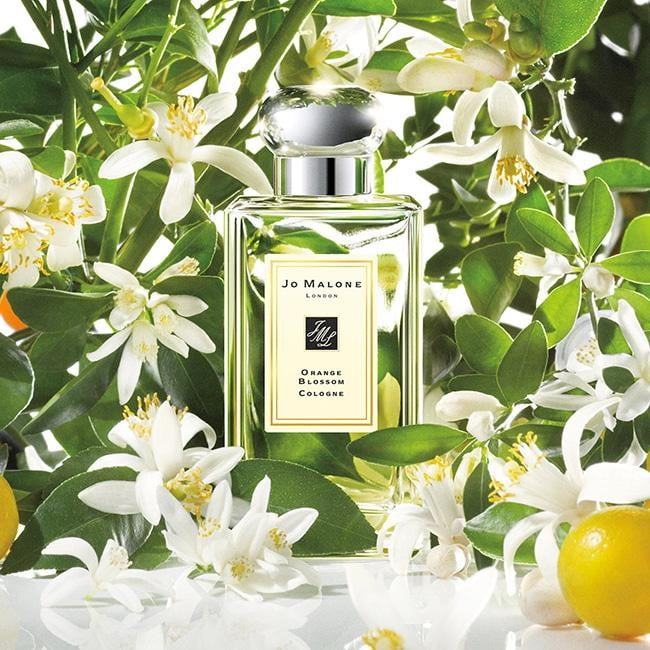 Nước hoa Jo Malone Orange Blossom Cologne thơm lâu, quyến rũ