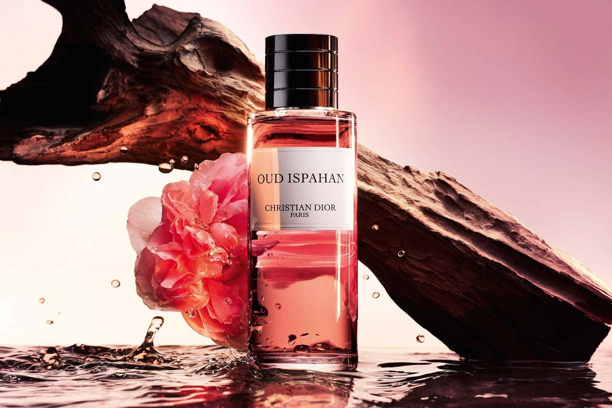 Christian Dior thương hiệu nước hoa nổi tiếng của Pháp được nhiều người yêu thích