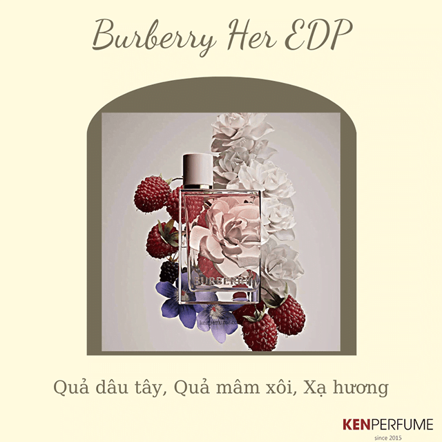 Nước hoa Burberry được phân thành 2 loại chính là nước hoa nam và nước hoa nữ