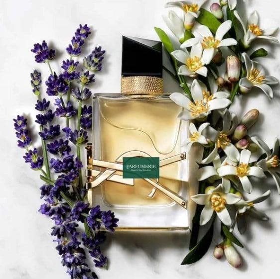 YSL Libre EDP mang đến sự pha trộn huyền bí cho người dùng