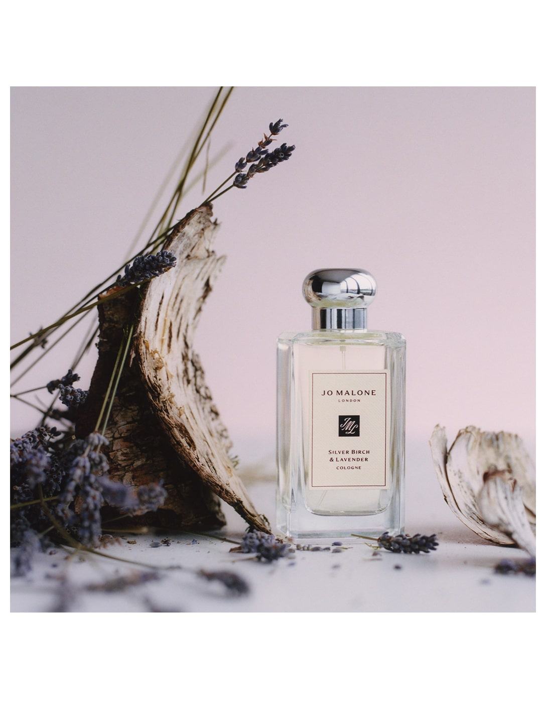 Nước Hoa Unisex Jo Malone Silver Birch & Lavender