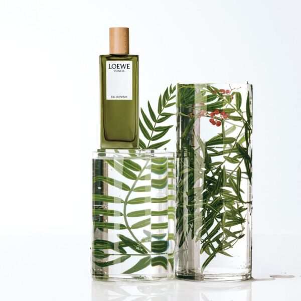 Nước Hoa Nam Loewe Esencia Pour Homme EDP