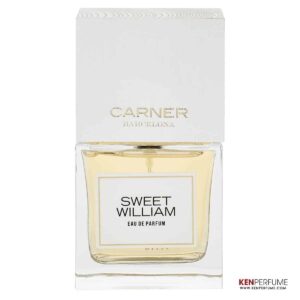 Carner Barcelona Sweet William