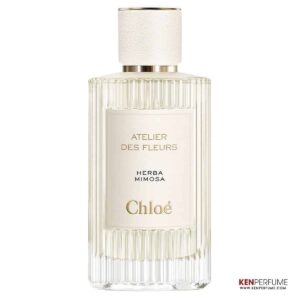 Chloe Atelier Des Fleurs Herba Mimosa