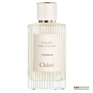 Chloe Atelier Des Fleurs Verbena