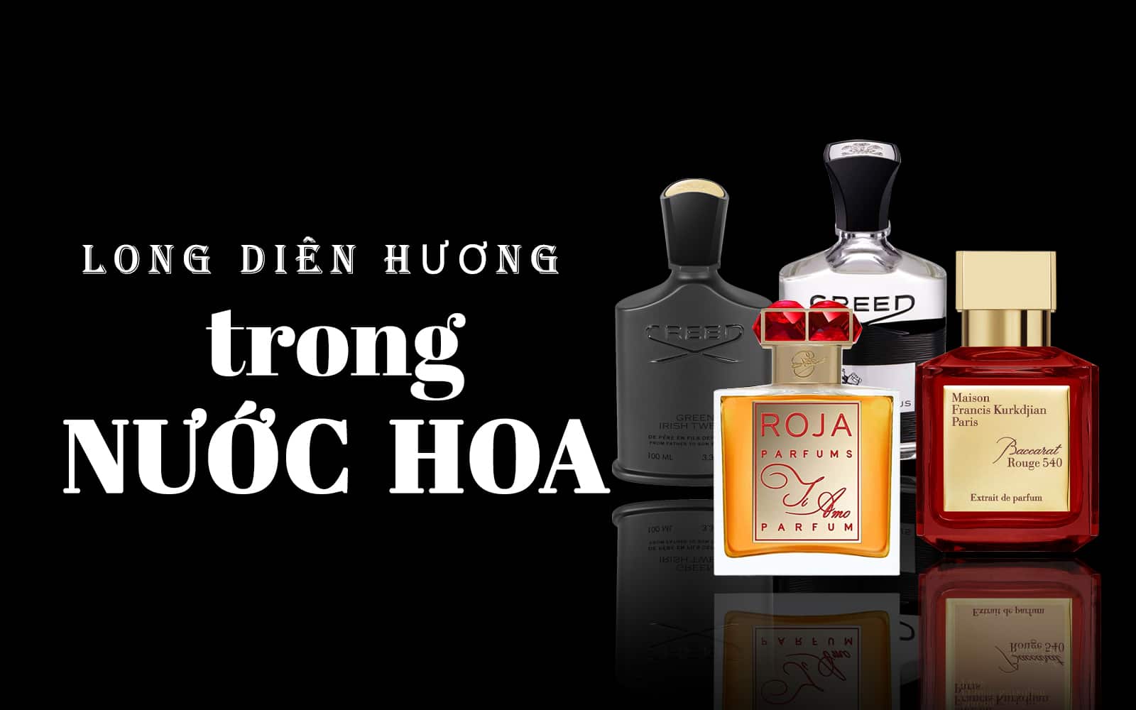Giải mã bí ẩn về long diên hương - Nguyên liệu xa xỉ đến từ biển khơi