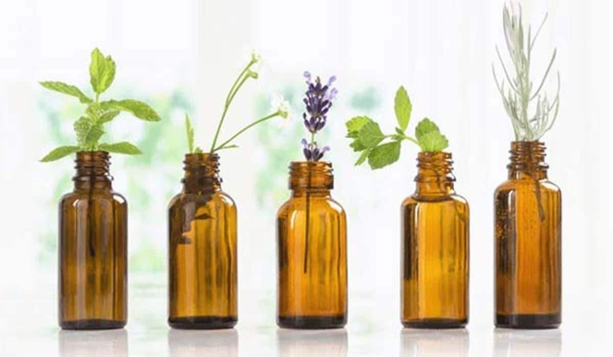 Tinh dầu nước hoa là gì? Phân biệt sự khác nhau giữa tinh dầu và nước hoa