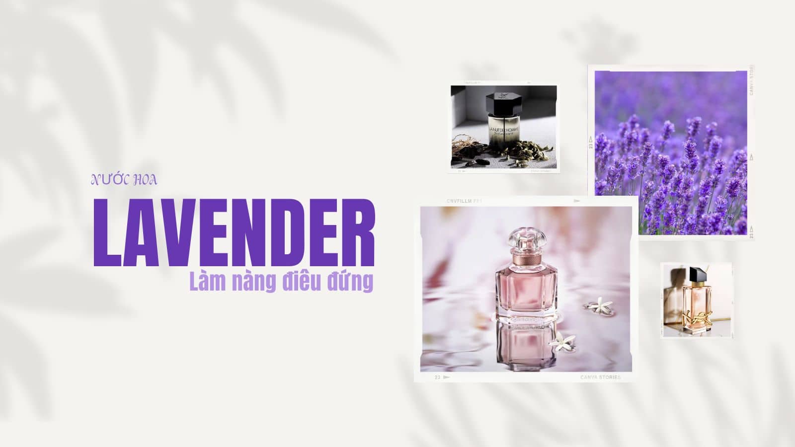 Top 8 chai nước hoa oải hương thơm nhất 2023 khiến các nàng "điêu đứng"
