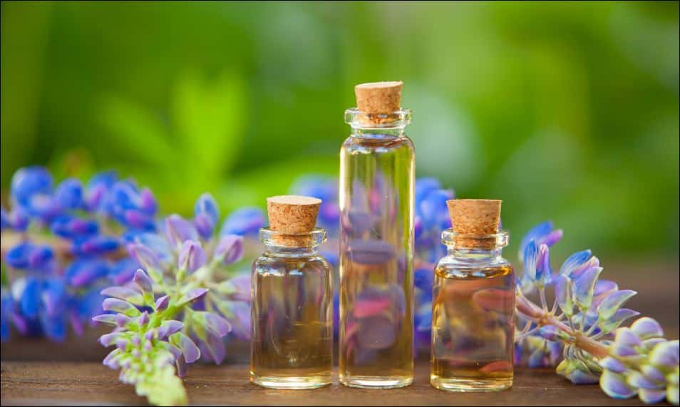 Bật mí quy trình sản xuất nước hoa mà không phải ai cũng biết