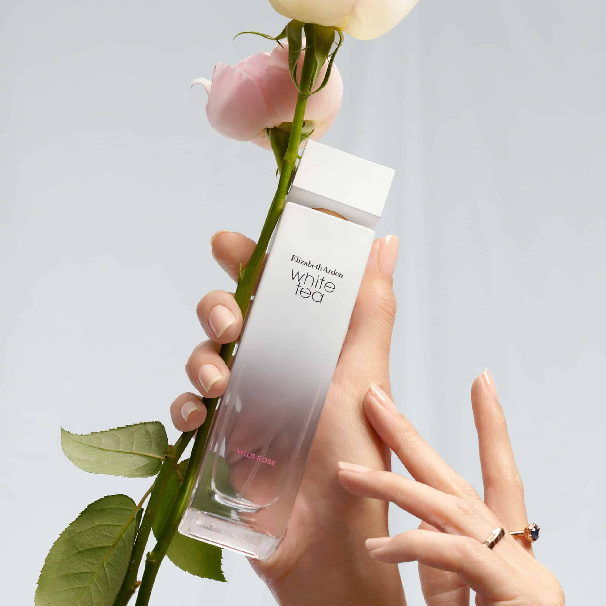 Nước Hoa Nữ Elizabeth Arden White Tea Wild Rose EDT