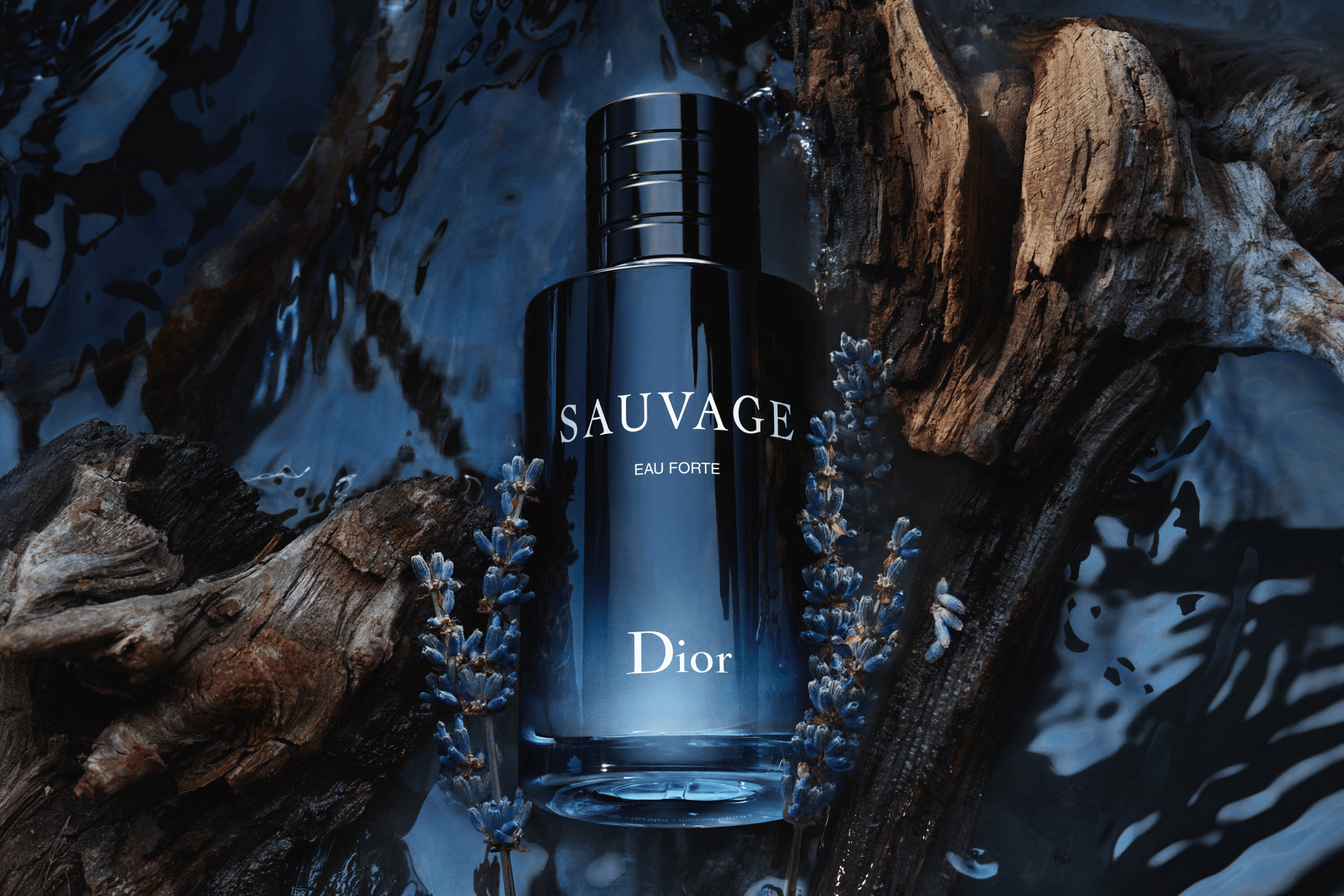 Dior Sauvage Eau Forte Parfum